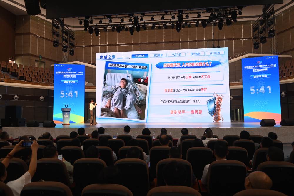 优秀项目成 优秀项目成