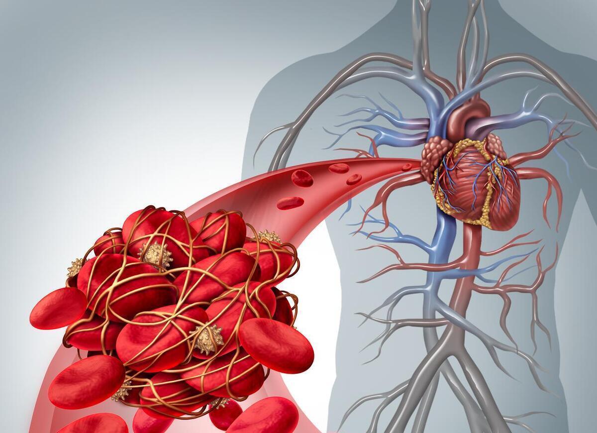 优雅还能降, 通过缓慢, 并且一学就 优雅还能降, 通过缓慢, 并且一学就